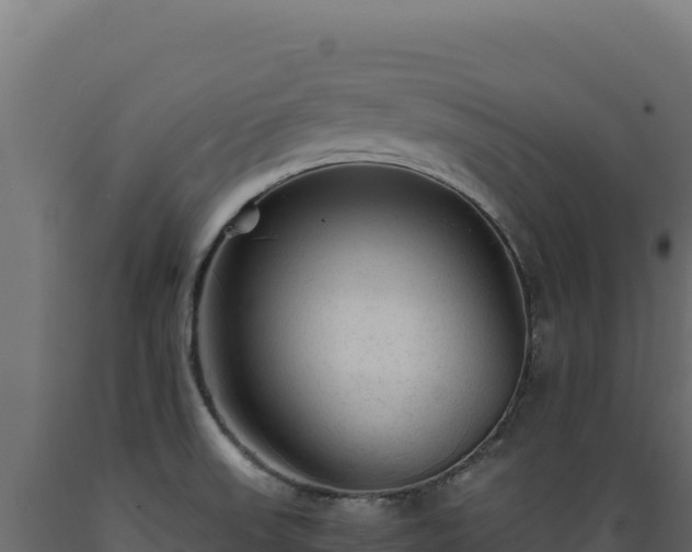 X0000089951523200707061110