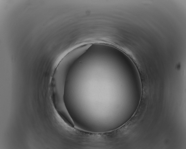 X0000089951524200707061110