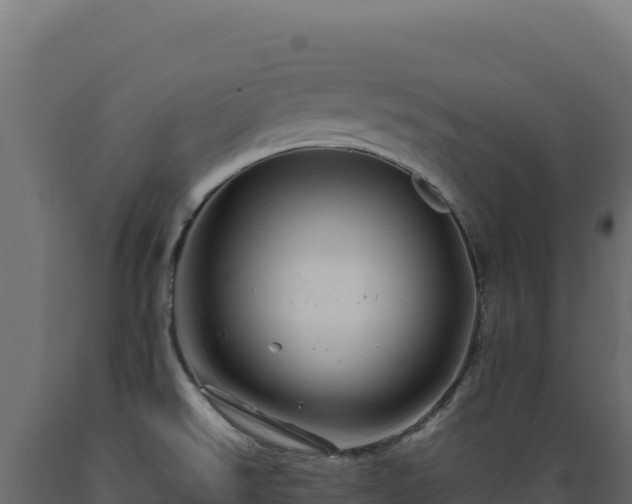 X0000089951526200707061110
