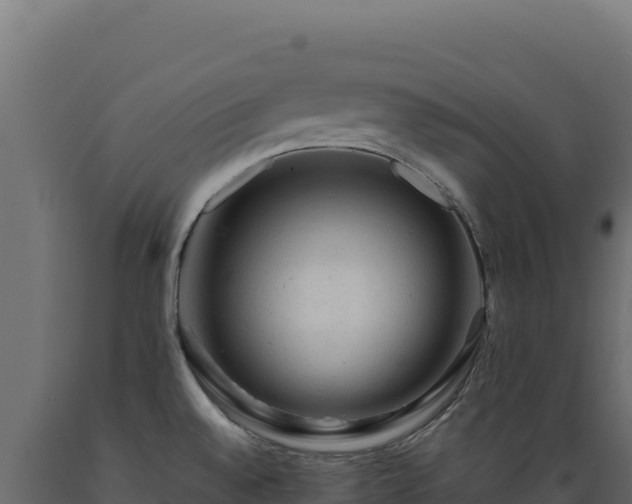 X0000089951528200707061110