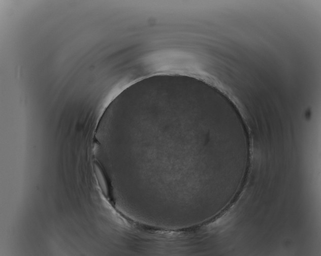 X0000089951529200707061110