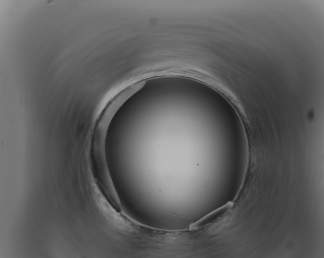 X0000089951530200707061110