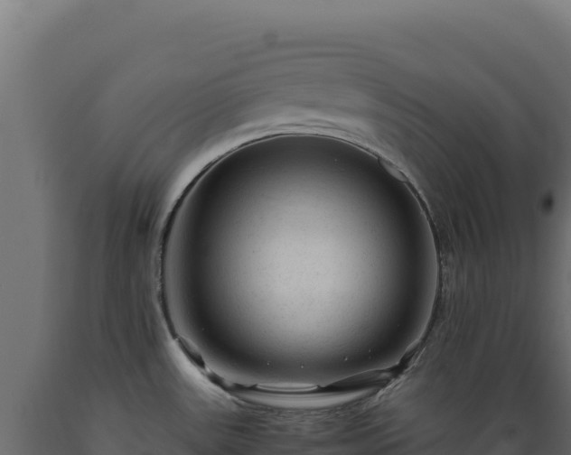 X0000089951531200707061110
