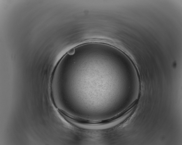 X0000089951533200707061110