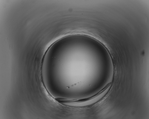 X0000089951534200707061110