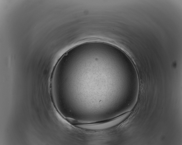X0000089951535200707061110