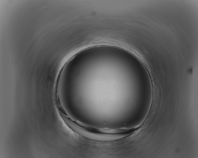 X0000089951536200707061110
