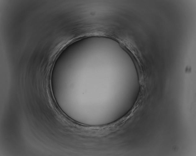 X0000089950001200707131526
