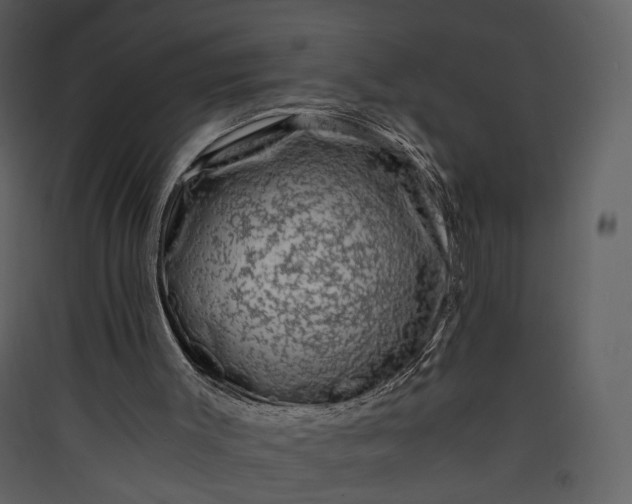 X0000089950003200707131526