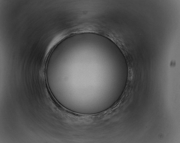 X0000089950004200707131526