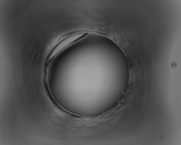 X0000089950005200707131526