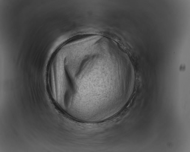 X0000089950006200707131526
