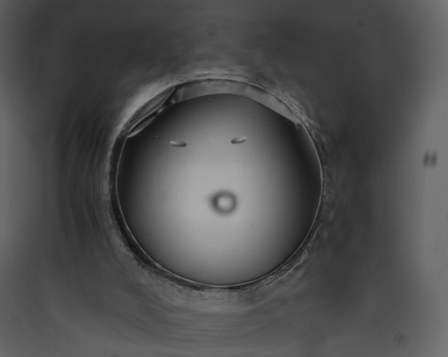 X0000089950008200707131526
