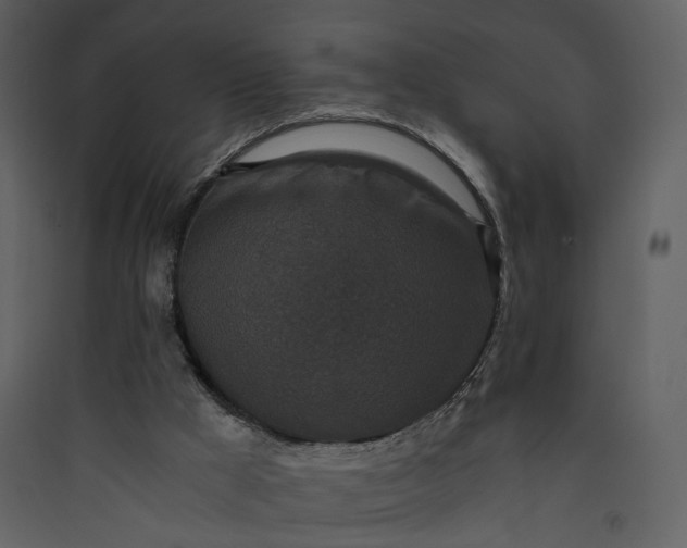X0000089950009200707131526