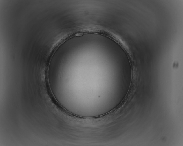 X0000089950010200707131526