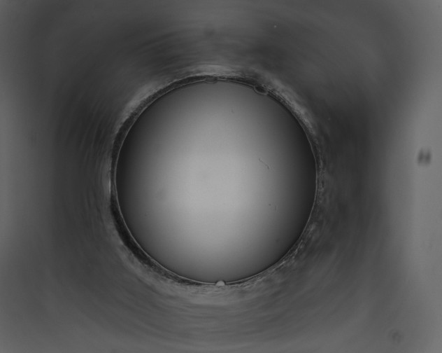 X0000089950011200707131526