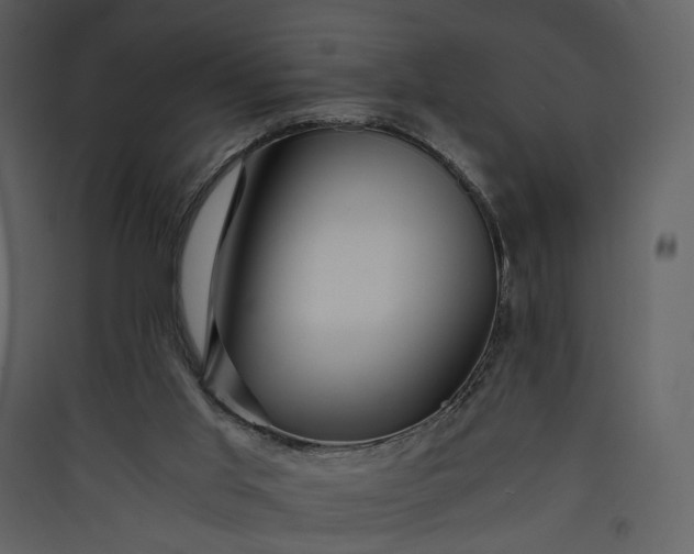 X0000089950013200707131526