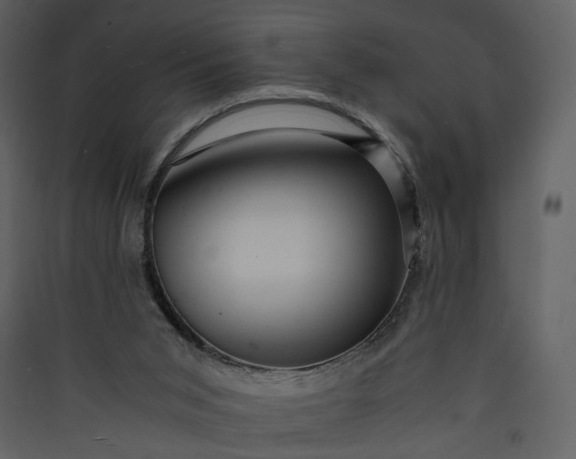 X0000089950015200707131526