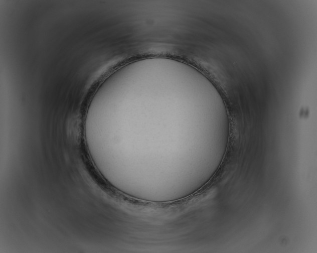 X0000089950016200707131526