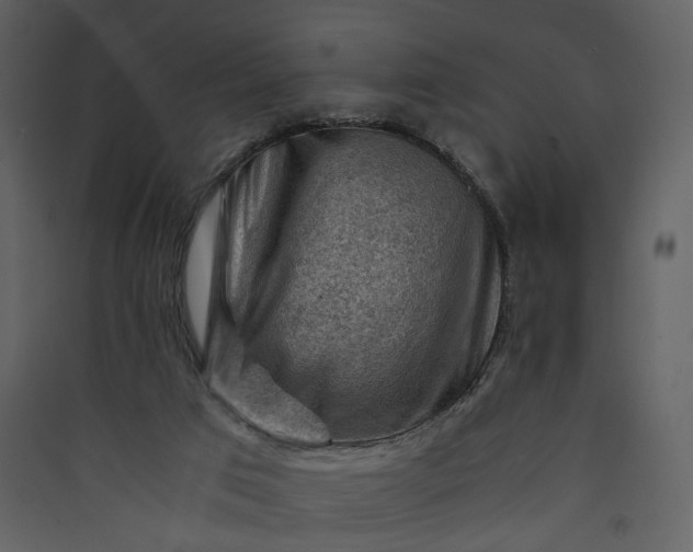 X0000089950017200707131526