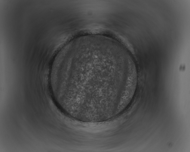 X0000089950018200707131526