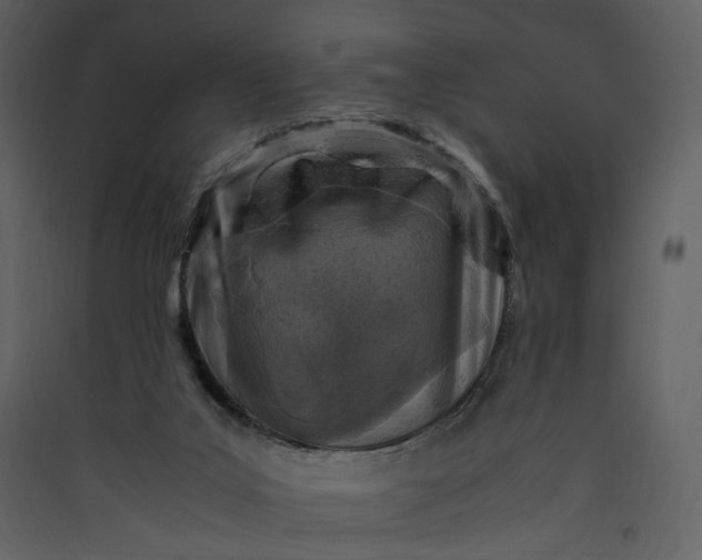 X0000089950019200707131526