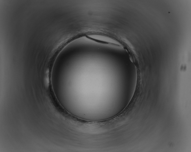 X0000089950020200707131526