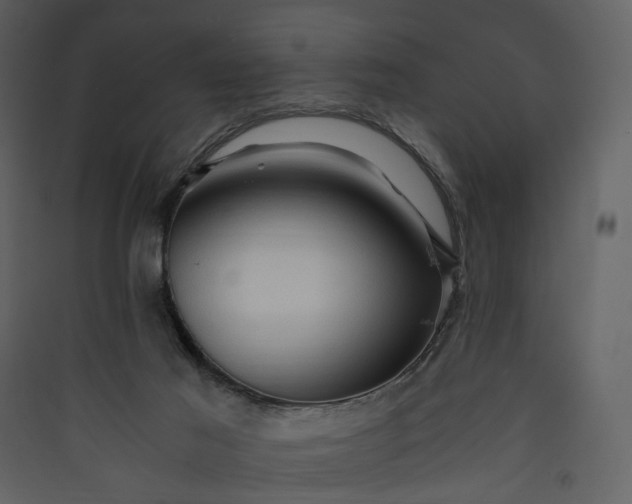 X0000089950021200707131526
