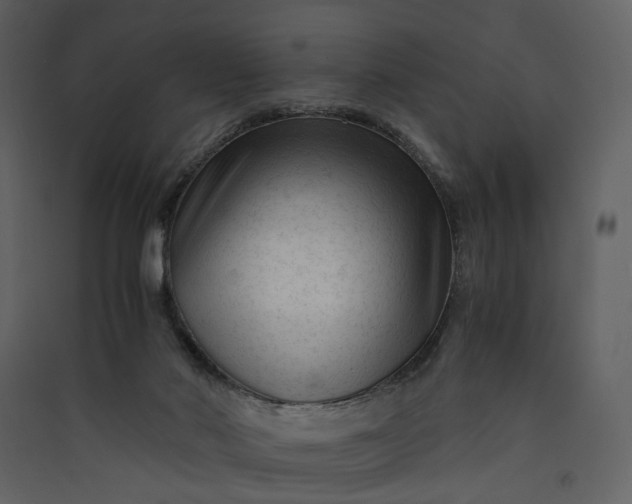 X0000089950022200707131526