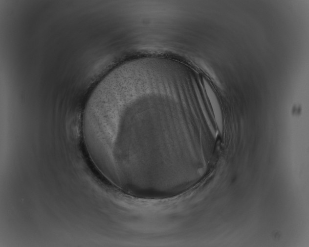 X0000089950023200707131526