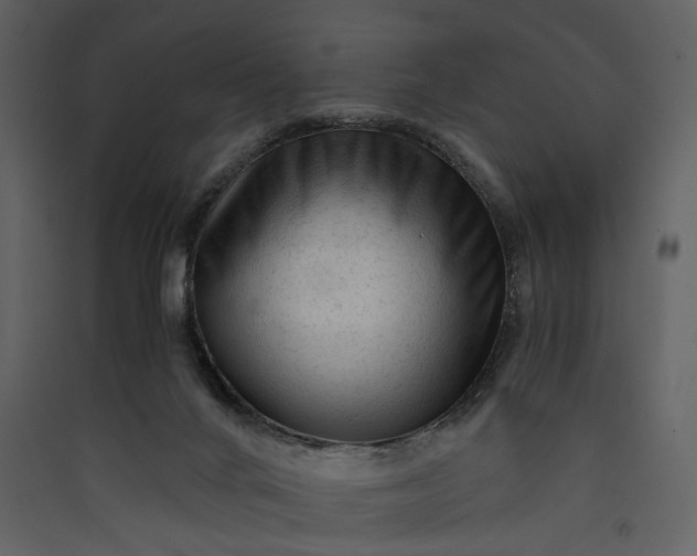 X0000089950024200707131526