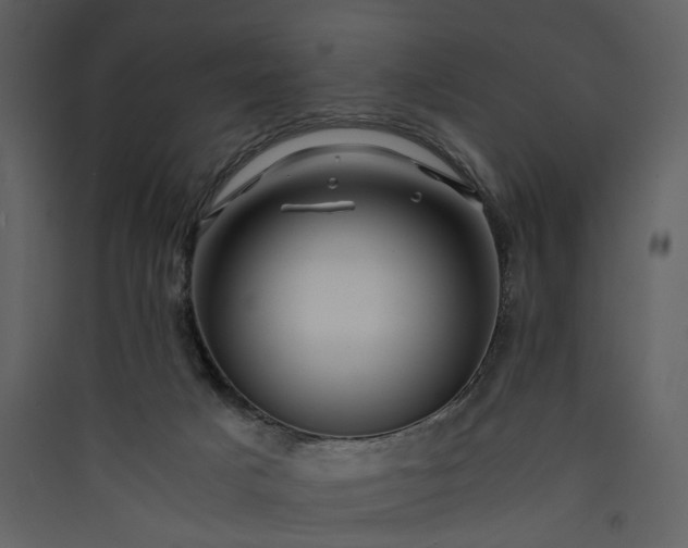 X0000089950025200707131526