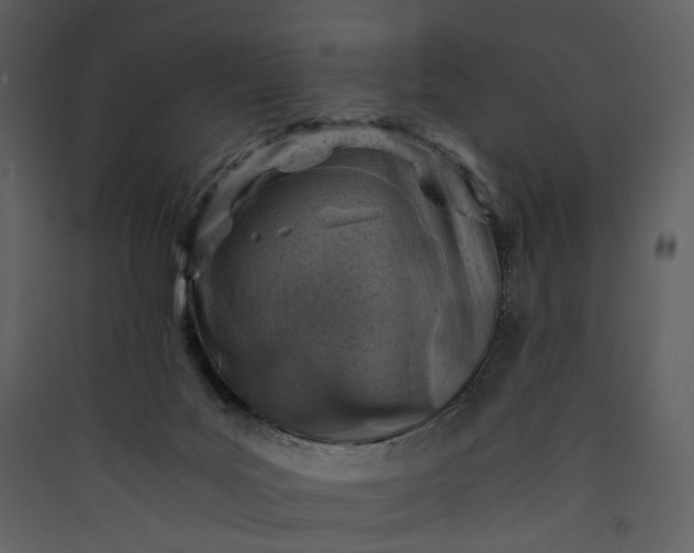 X0000089950027200707131526
