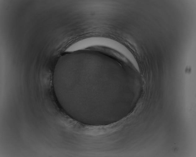 X0000089950029200707131526