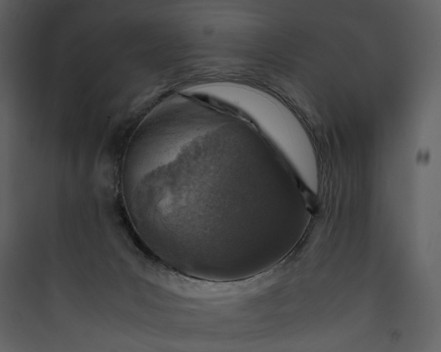 X0000089950031200707131526