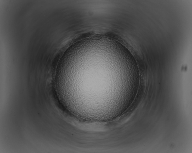 X0000089950032200707131526