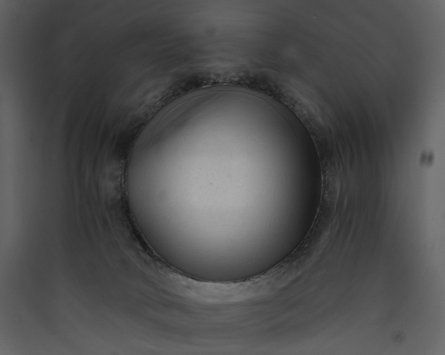 X0000089950034200707131526