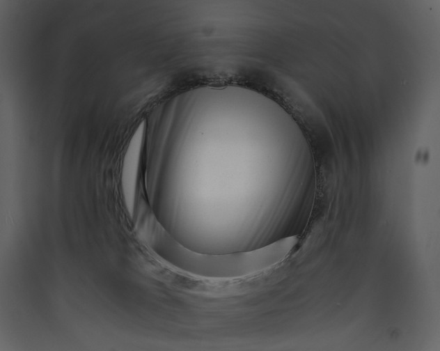 X0000089950037200707131525