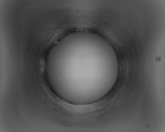 X0000089950038200707131525