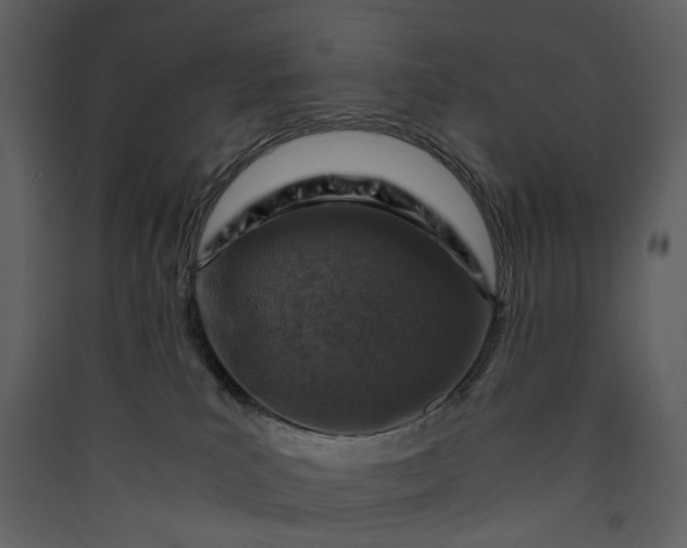 X0000089950039200707131525