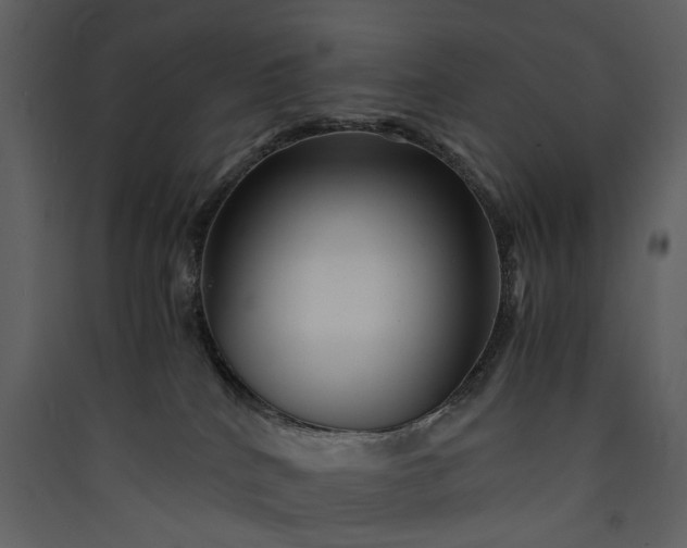 X0000089950040200707131525