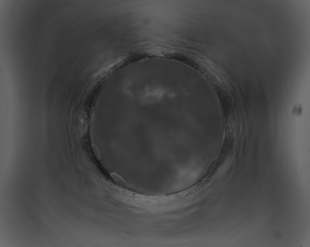 X0000089950043200707131525