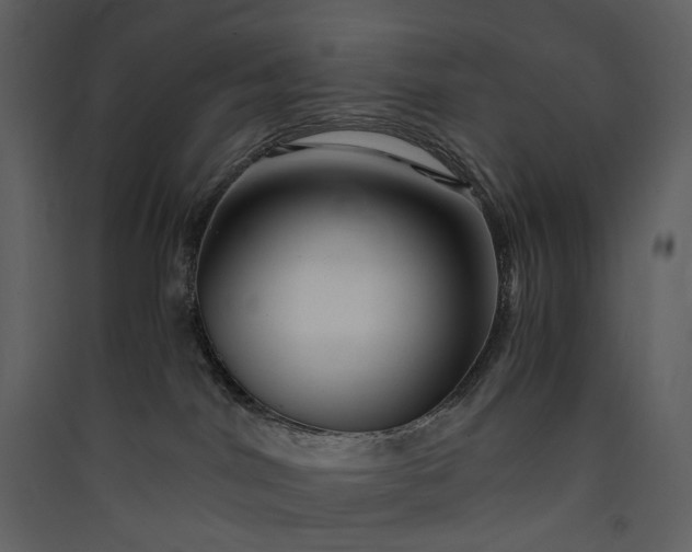X0000089950044200707131525