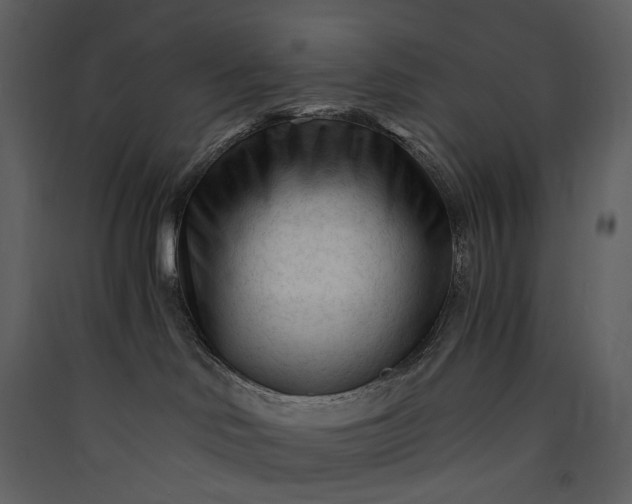X0000089950046200707131525