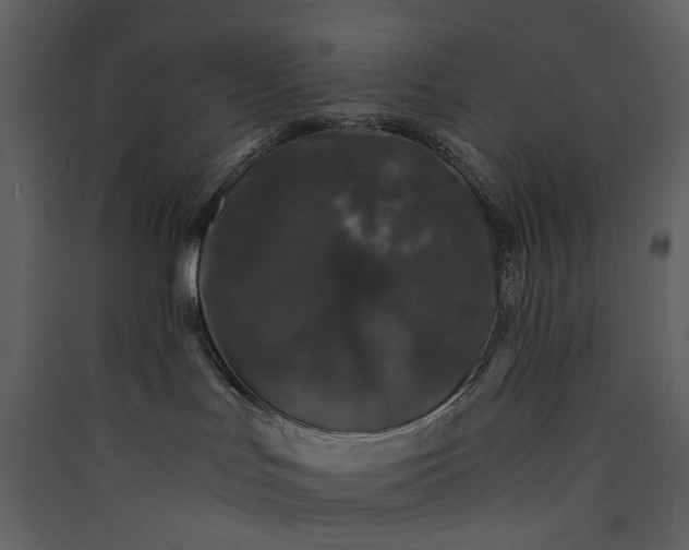 X0000089950047200707131525