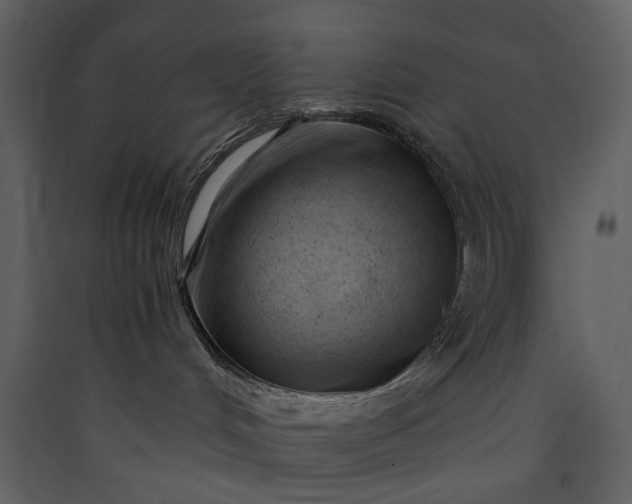 X0000089950048200707131525