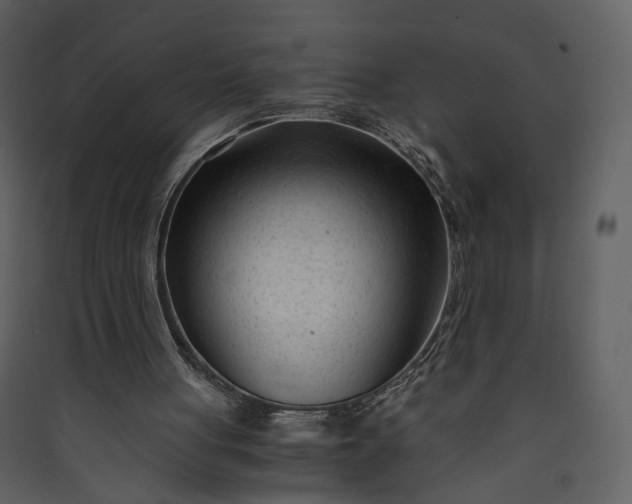 X0000089950051200707131525