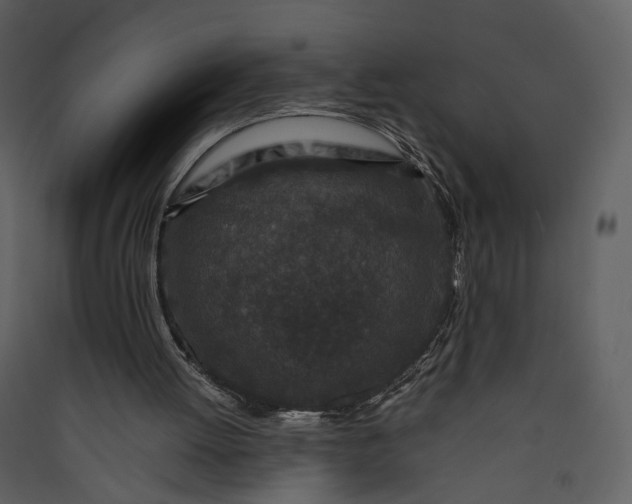 X0000089950052200707131525