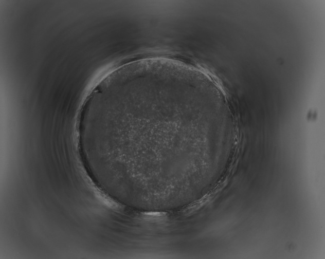 X0000089950053200707131525