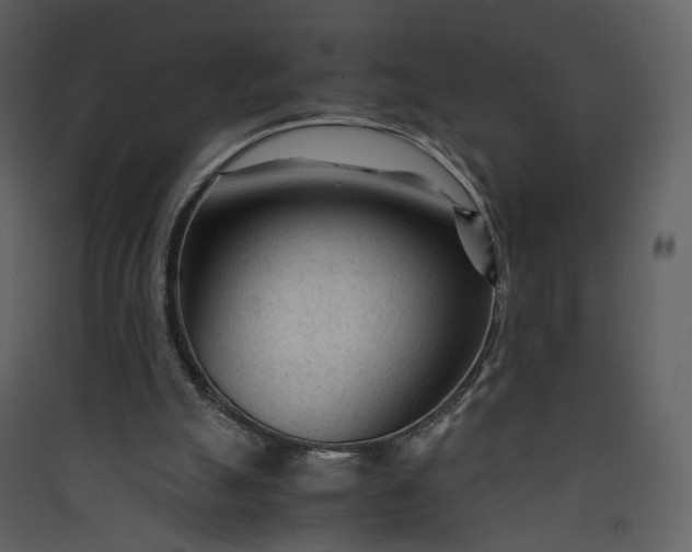 X0000089950055200707131525